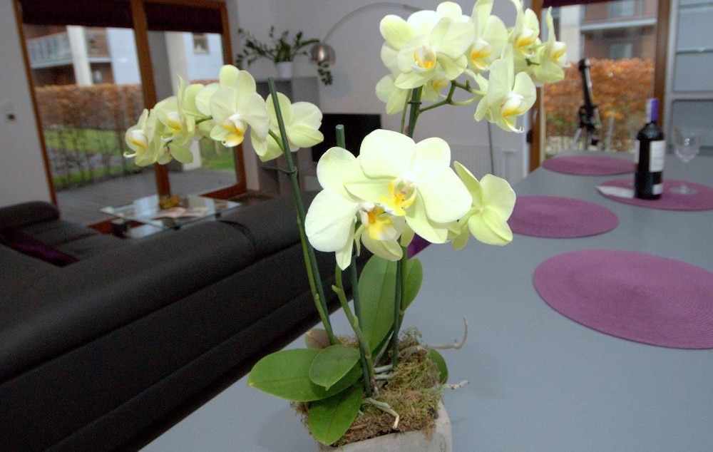 irs royal apartments irs nadmorski dwor