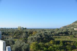 vila florika