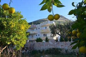 Vila Florika,Gjirokaster>>Borsh,3 star