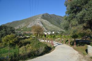 vila florika