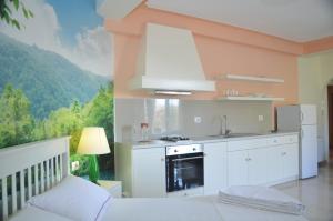vila florika