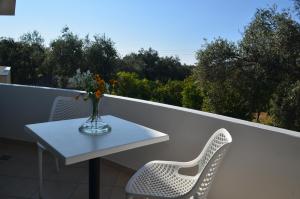vila florika