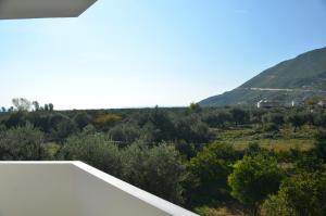 vila florika