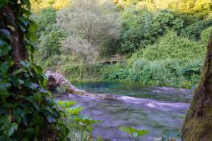 vila florika