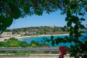vila florika