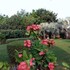 asiatic pride resorts