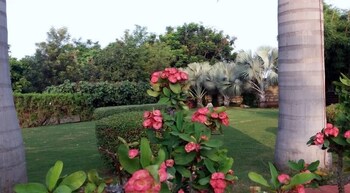 Asiatic Pride Resort,Dhari>>Amreli,4 star
