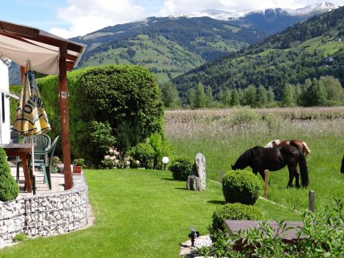 lakeside appartement plattner by we rent