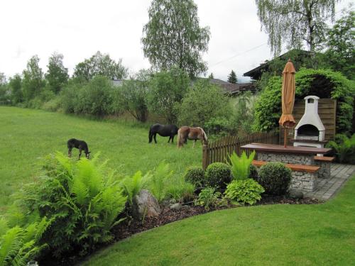 lakeside appartement plattner by we rent