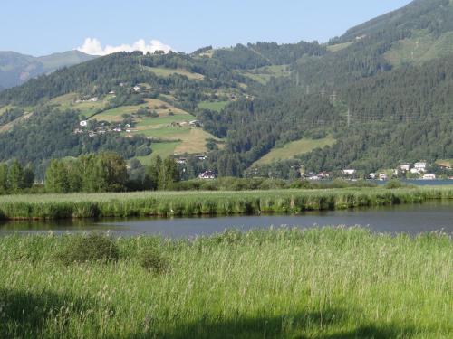 lakeside appartement plattner by we rent