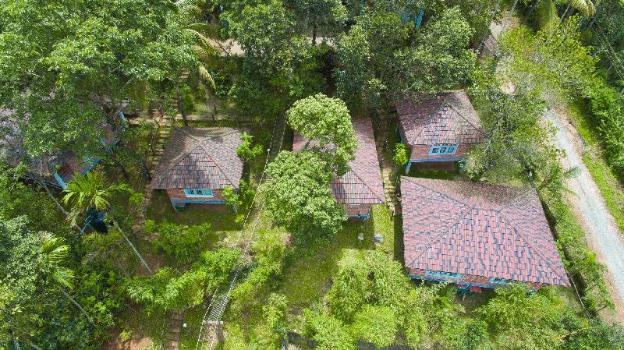 wayanad ranches resorts