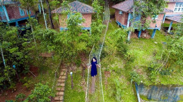 wayanad ranches resorts