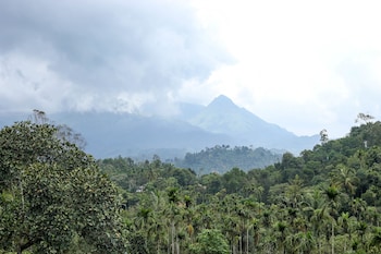 wayanad ranches resorts