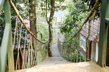 wayanad ranches resorts