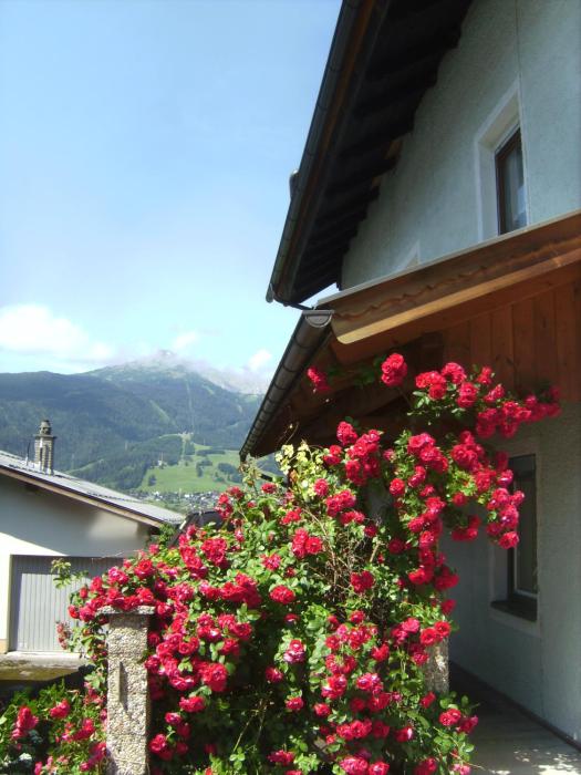 ehrwald