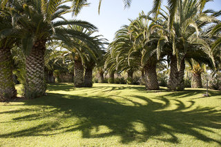 City-Image