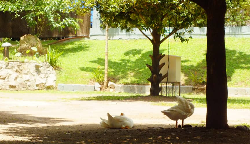changanacherry