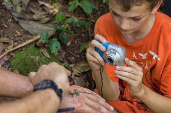 bocawina rainforest resort and adventures