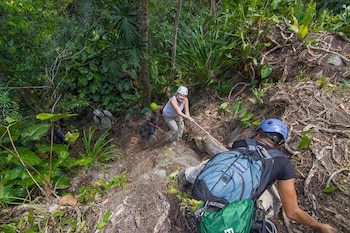 bocawina rainforest resort and adventures