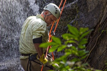 bocawina rainforest resort and adventures