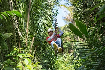 bocawina rainforest resort and adventures