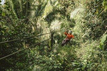 bocawina rainforest resort and adventures