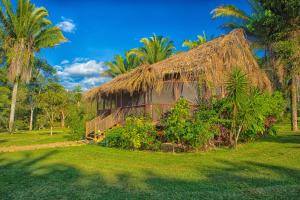 bocawina rainforest resort and adventures