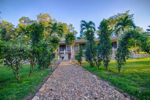 bocawina rainforest resort and adventures