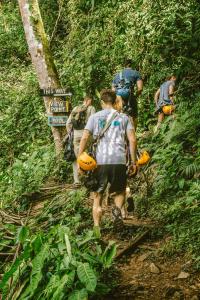 bocawina rainforest resort and adventures