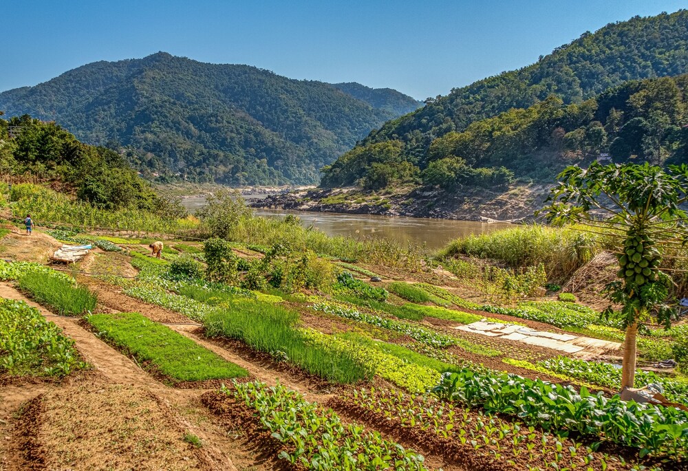 sanctuary pakbeng lodge