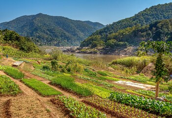 sanctuary pakbeng lodge
