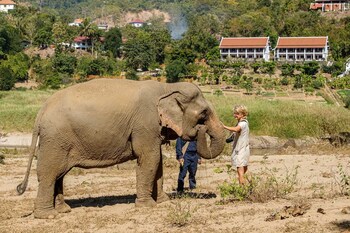 Sanctuary Pakbeng Lodge,Mekong Elephant Park>>Pakbeng,3 star