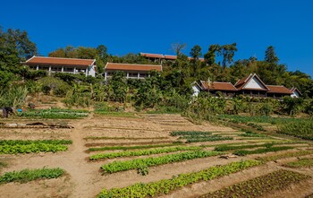 sanctuary pakbeng lodge