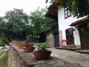 lovech