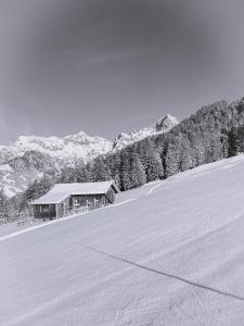 maria alm am steinernen meer