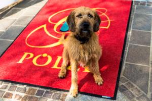 Hotel Garni Polzl,Styria>>Deutschlandsberg,4 star