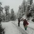 dhari