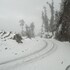 dhari
