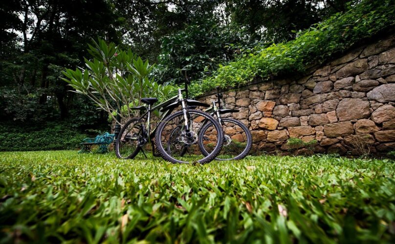 wayanad