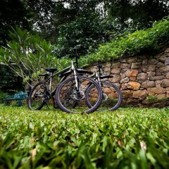 wayanad