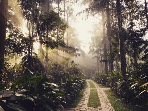 Pepper Trail,Kozhikode>>Kolagappara,4 star