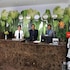 hotel vassi palaze