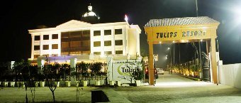 tulips resort