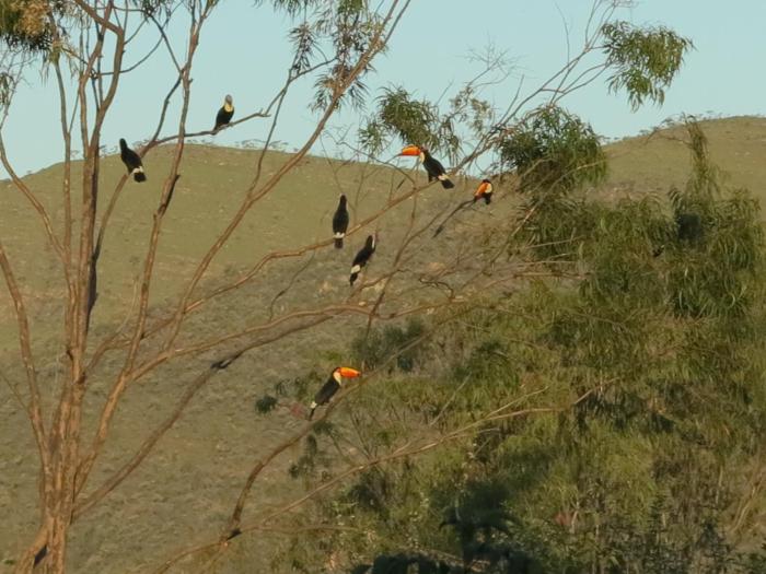 alto paraiso de goias