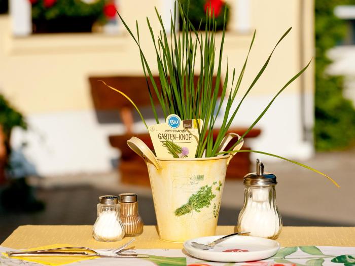 hotel sonne