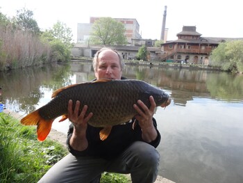 uzice