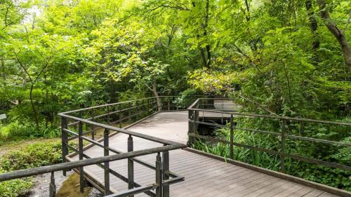 toyoko inn tokyo akabane station higashi ichibangai