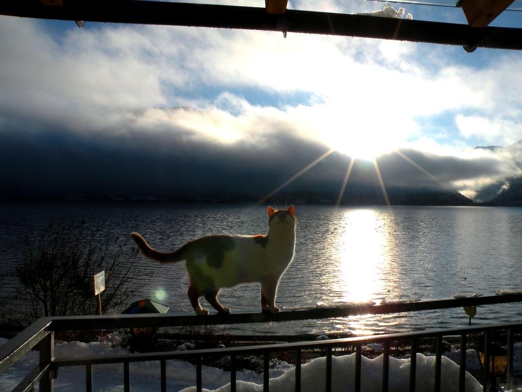 unterach am attersee