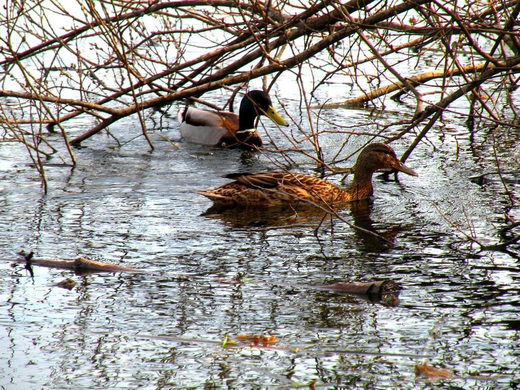 unterach am attersee