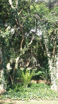 khaya africa guesthouse and spa